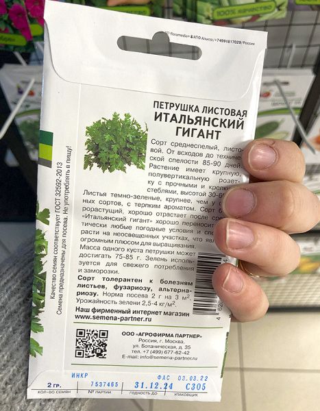 Петрушка Итальянский гигант